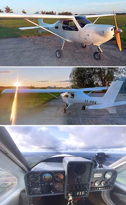 Jabiru