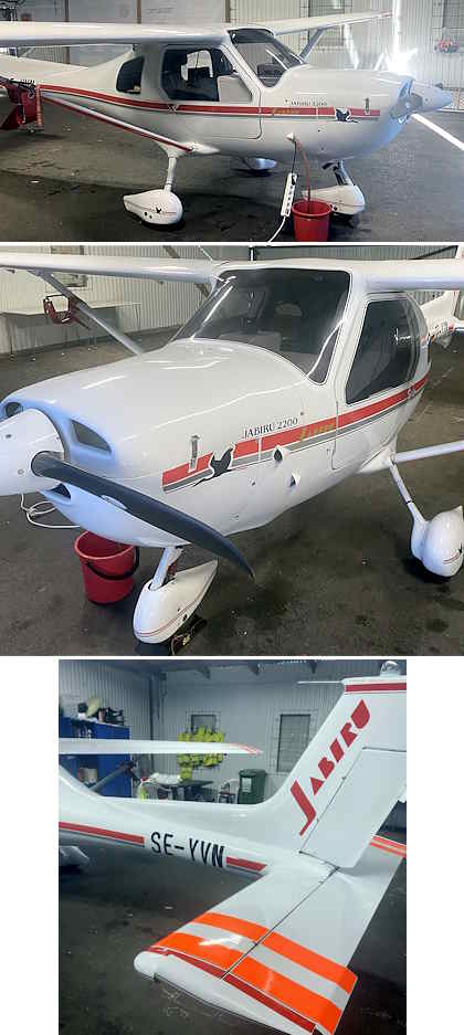 Jabiru